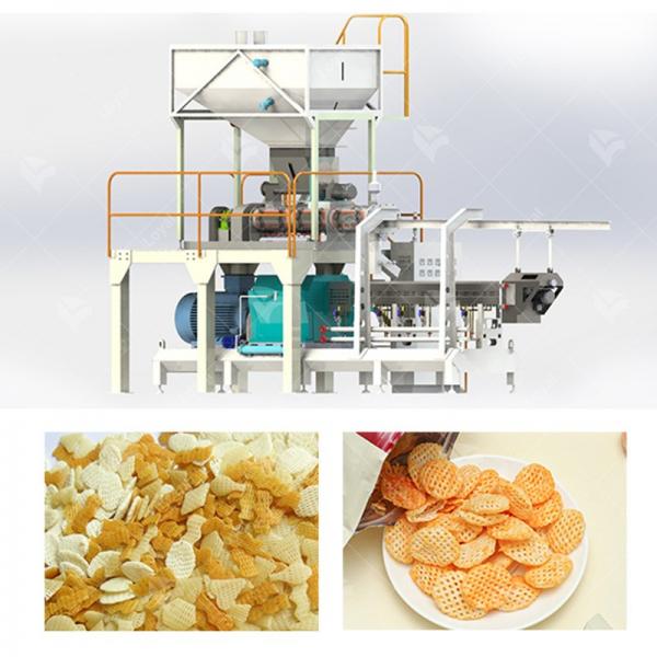 Sala Snacks Processing Line/Machinery #2 image