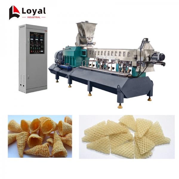 2d  / 3d fried snack pellets fryum papad making machine production line #1 image